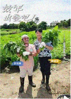 免费在线观看综艺《手作人间》